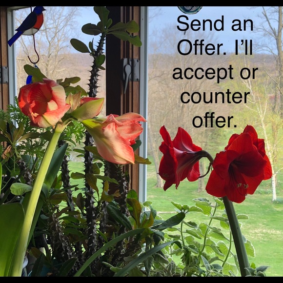 Make an Offer! - Picture 1 of 1